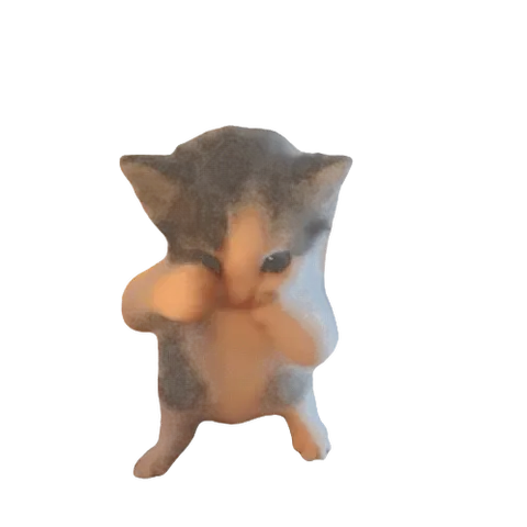 the cat, doing the dance