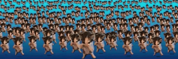 many dancing scuba cats