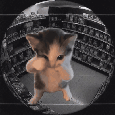 security camera footage of the kitten dancing in a store aisle