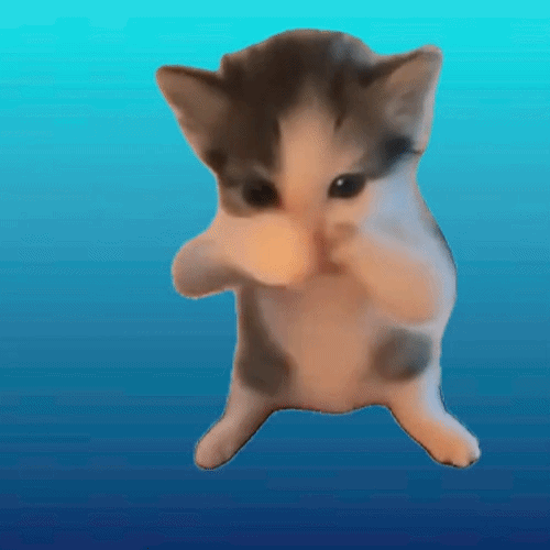 scuba cat on a blue background