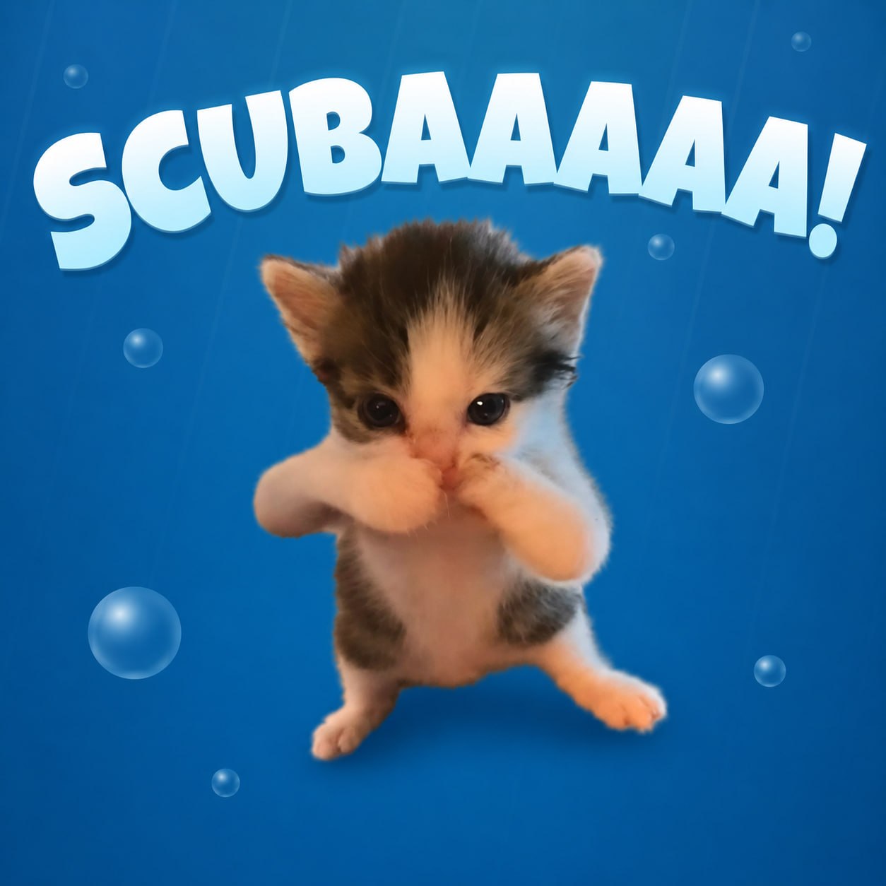 SCUBAAAA poster