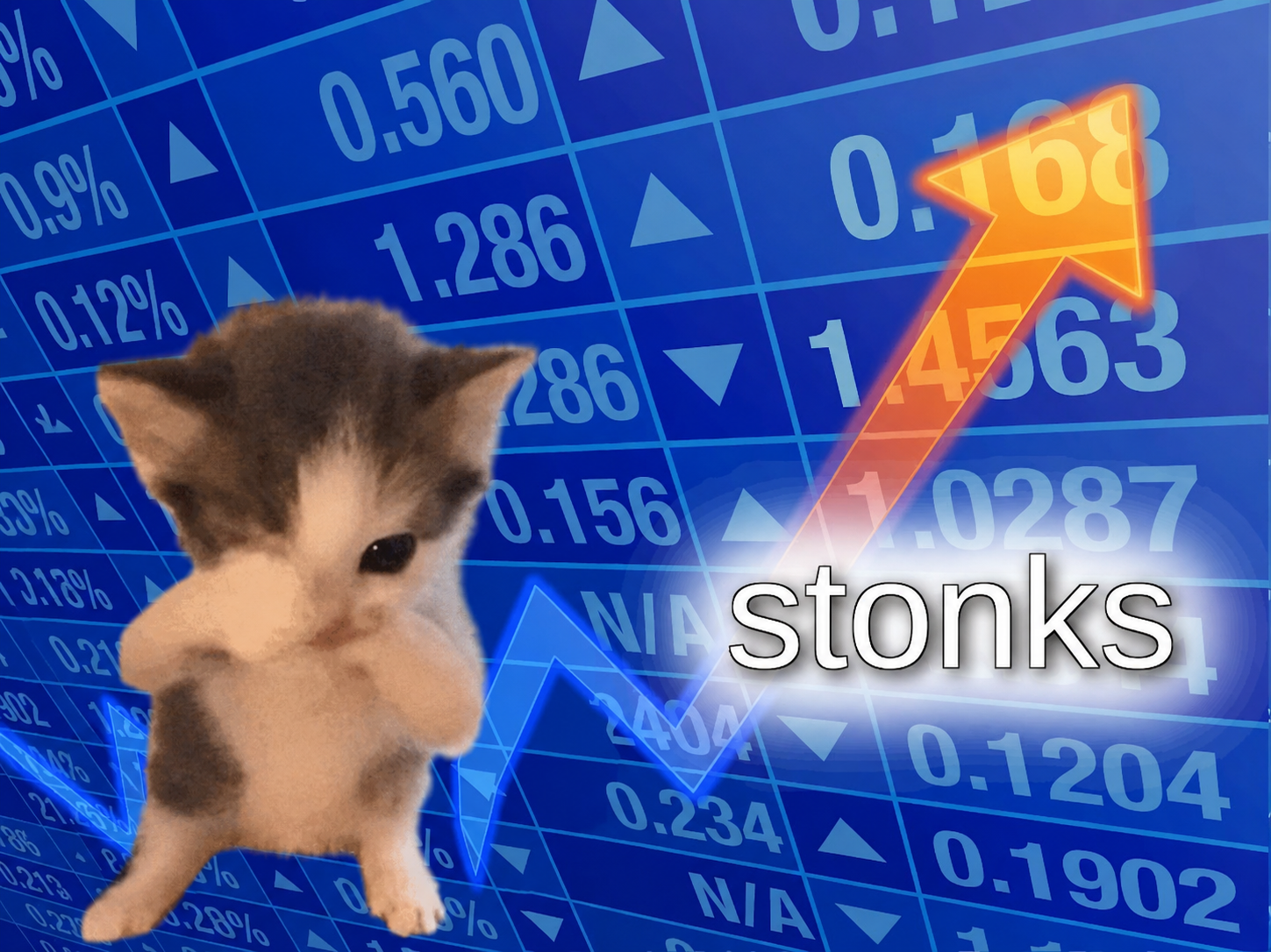 scuba cat stonks meme